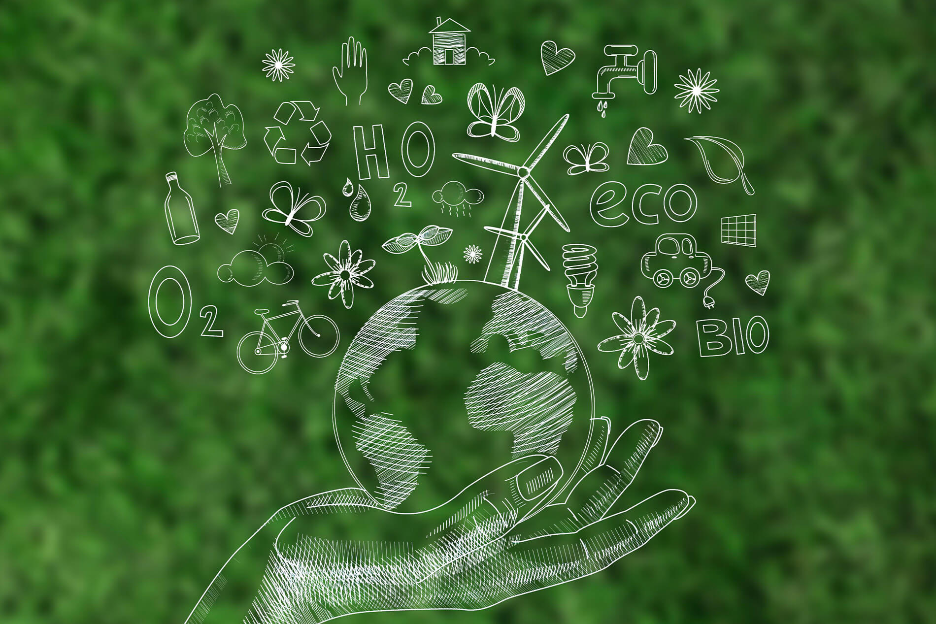 Çevre Danışmanlığı ile Sürdürülebilir Bir Geleceğe Adım Atın | Enviromind Mühendislik